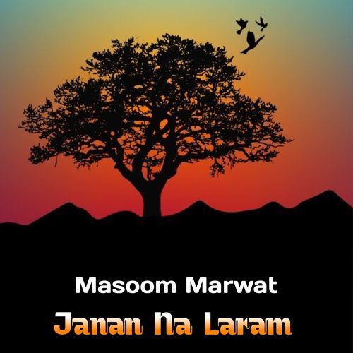 Janan Na Laram