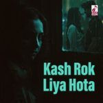 Kash Rok Liya Hota