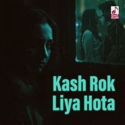 Kash Rok Liya Hota