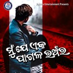 Mu Je Eka Pagala Bhanra