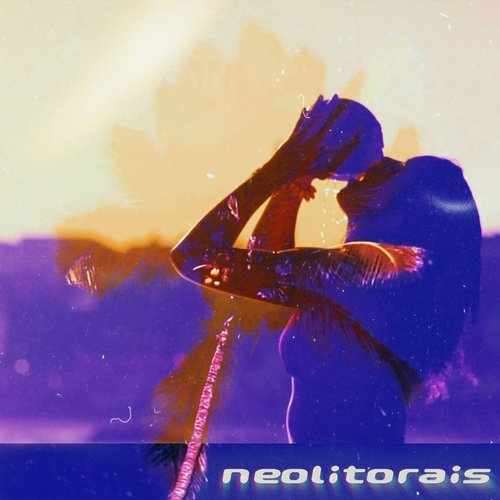 NEOLITORAIS_poster_image