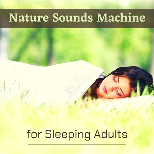 Nature Sounds Machine for Sleeping Adults