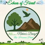 Echoes Of Forest