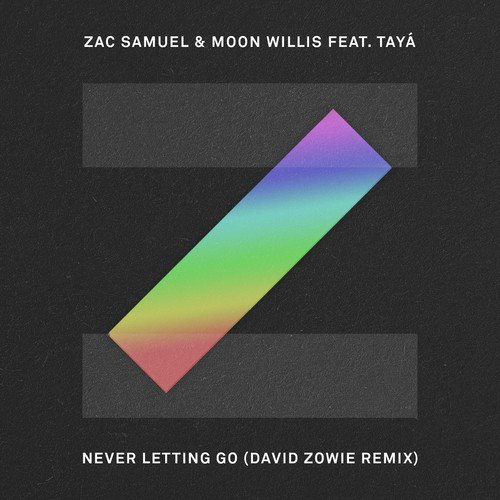 Never Letting Go (David Zowie Remix)_poster_image