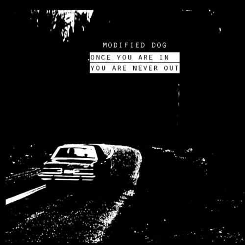 Dog Teeth cover art