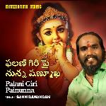Palani Giri Painunna
