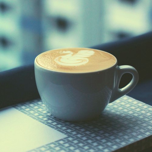 Sparkling Organic Cafes cover art
