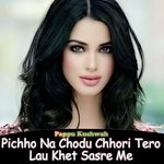 Pichho Na Chodu Chhori Tero Lau Khet Sasre Me