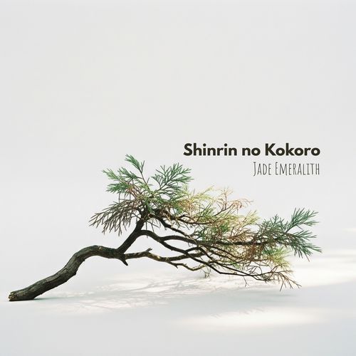 Woodborn Calm cover art