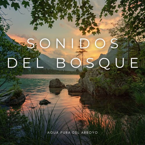 Sonidos De Cugarras cover art