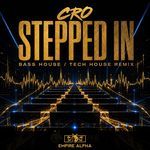 Stepped In (Frvnkk Bass House / Tech House Remix)