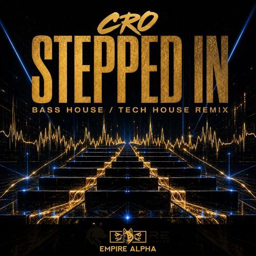Stepped In (Frvnkk Bass House / Tech House Remix)
