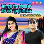 Tero Buro Hoye Baniya Ke Meri Faadi Lugadi Ki Bel