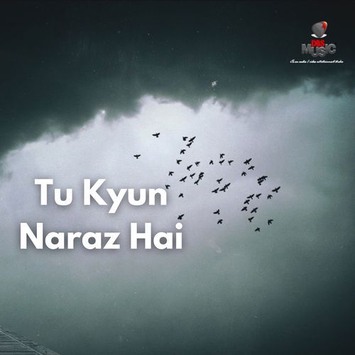 Tu Kyu Naraz Hai