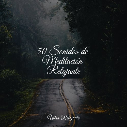 50 Sonidos de Meditación Relajante