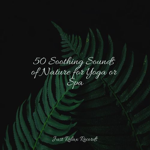 50 Soothing Sounds of Nature for Yoga or Spa_poster_image