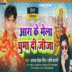 Ara Ke Mela Ghuma Di