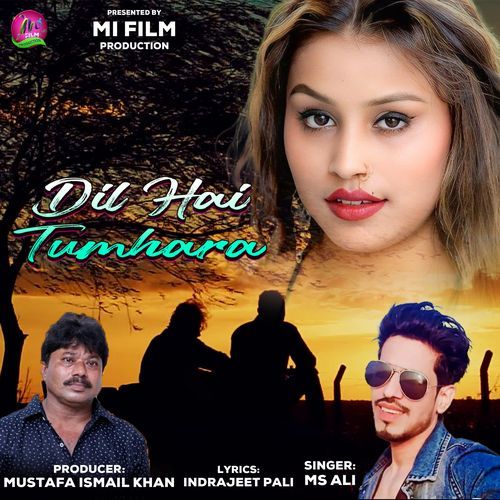 DIL HAI TUMHARA