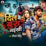 Dil Ke Bura Naikhi
