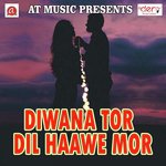 Diwana Tor Dil Haawe Mor