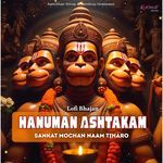 Hanuman Ashtakam - Sankat Mochan Naam Tiharo - Lofi Bhajan