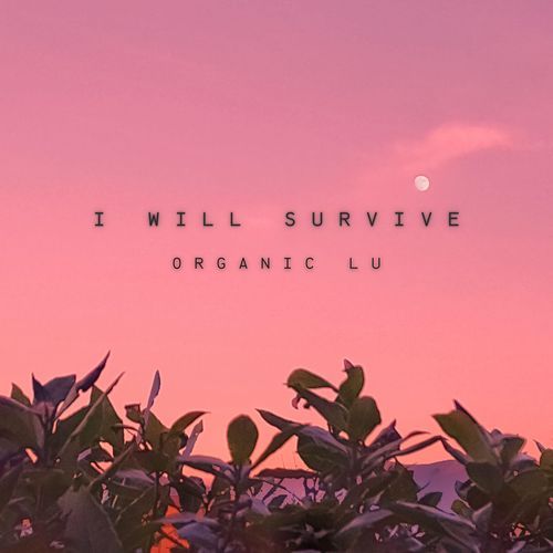 I Will Survive
