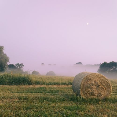 I'll come back here (slowed)