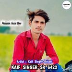 Kaif Singer SR 6422