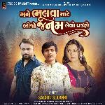 Mane Bhulva Mate Bijo Janam Levo Padshe