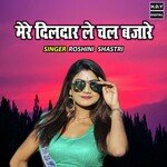 Mere Dildar Le Chal Bazare