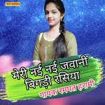Meri Nai Nai Jawani Bigadi Rasiya