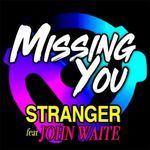 Missing You (Radio Single Remix)