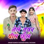 Nilli Tuvar Pello Phool