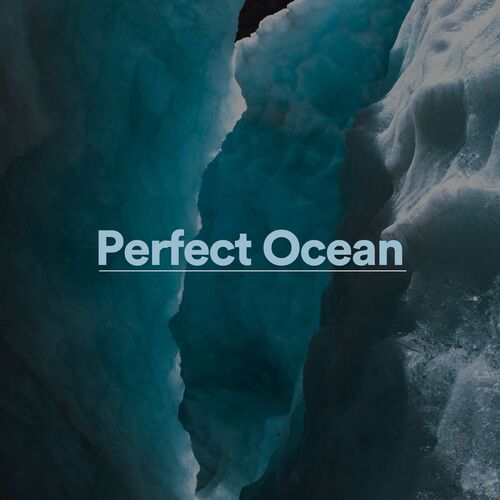 Perfect Ocean_poster_image