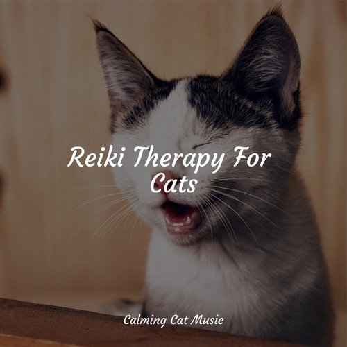 Meditating Music cover art