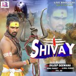 Shivay