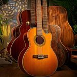 Celebrate Guitar Notes