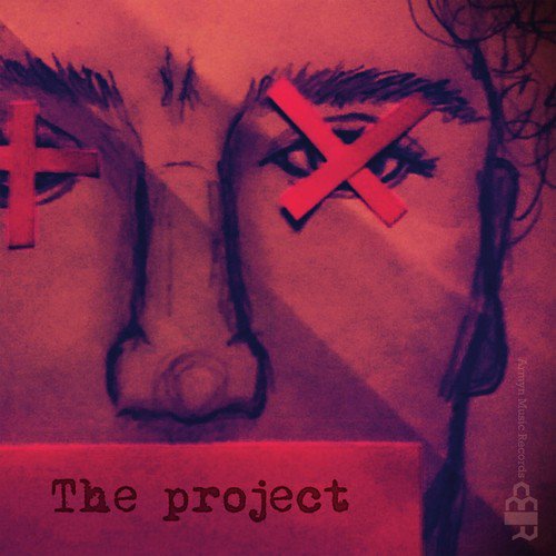The project