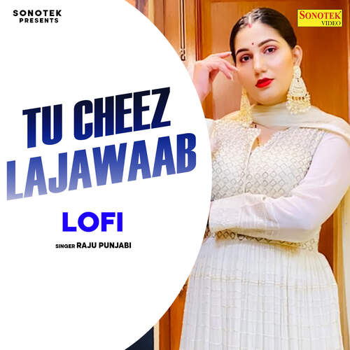 Tu Cheez Lajawaab Lofi Mix_poster_image