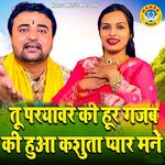 Tu Paryawar Ki Hoor Gajab Ki Hua Kasuta Pyar Manne artwork