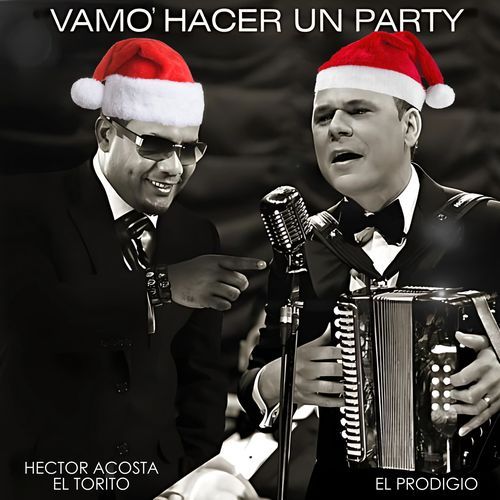 Vamo' A Hacer Un Party_poster_image