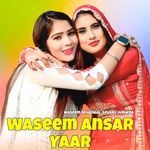 Waseem Ansar Yaar