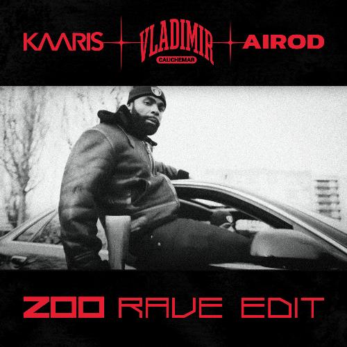 Zoo (Rave Edit)_poster_image