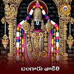 Bangaru Vakili