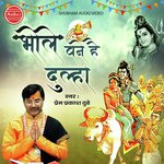 Bhole Bane Hai Dulha