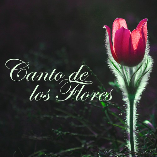 Dormir Profundamente cover art