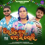 Dil Bhitre Bajsi Kawali