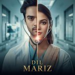 Dil Mariz