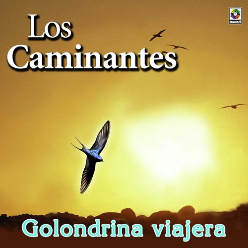 Golondrina Viajera cover art