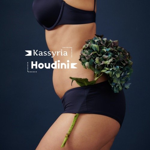 Houdini cover art